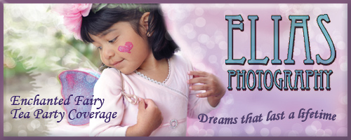 Enchanted Fairy Tea Party Coverage Banner